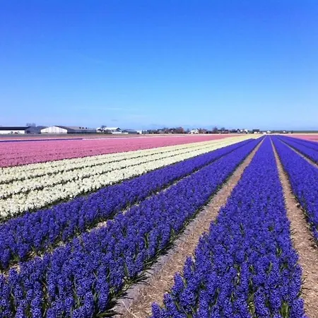 בקתה Vakantiewoning Vrijburg