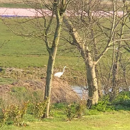 シャレー Vakantiewoning Vrijburg *