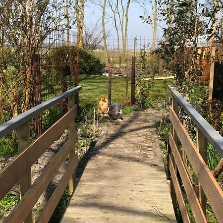 Dağ evi Vakantiewoning Vrijburg *