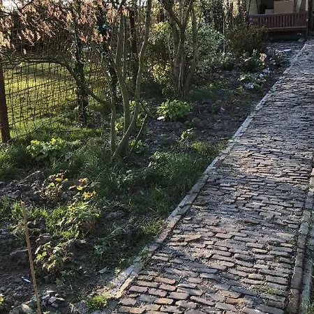 Chalet Vakantiewoning Vrijburg